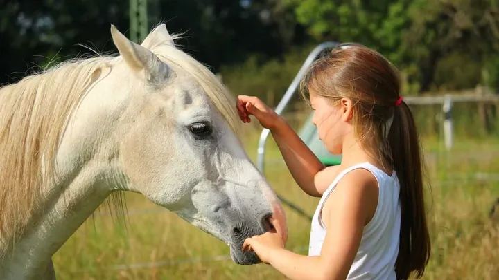 Deze hilarische foto van een meisje en 'photobombend' paard werkt gegarandeerd op je lachspieren.