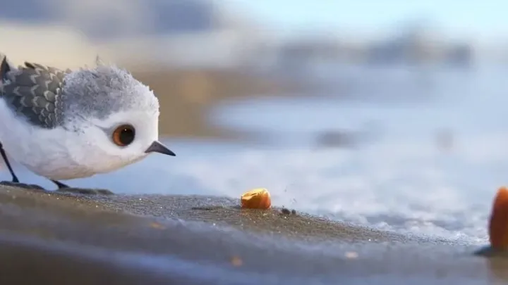 De nieuwste korte film 'Piper' van Pixar is echt hartverwarmend! Dit moet je zien!