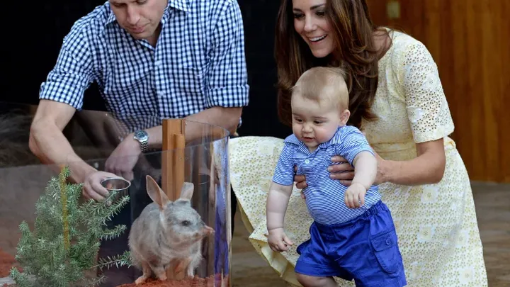 Você não vai acreditar nesses incríveis momentos de supermãe de Kate Middleton