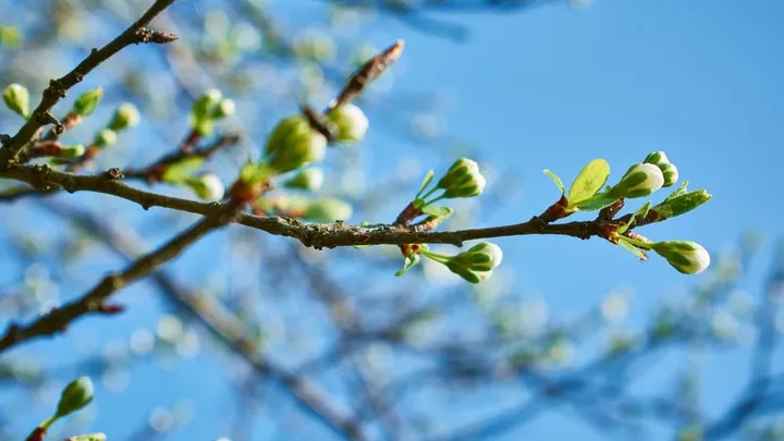 We hebben een heerlijk lenteweekend voor de boeg: plaatselijk 20 graden