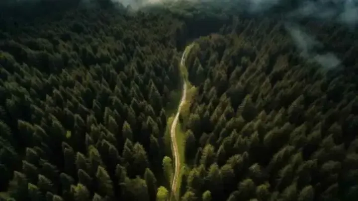 Drone Captures Something Nobody Was Supposed To See