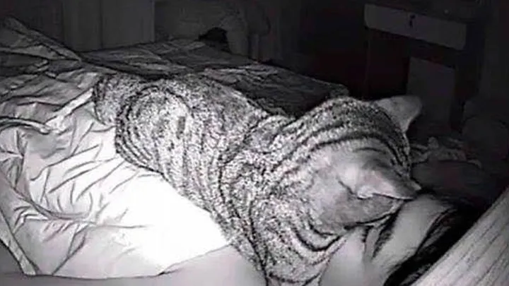Man plaatst camera omdat hij ’s nachts geen adem krijgt, ontdekt dan waarom