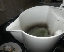 Wie du mit einer Muschel den Kalk im Wasserkocher sofort entfernst