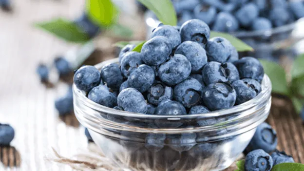 Das passiert, wenn du jede Woche Blaubeeren isst. Heftig!