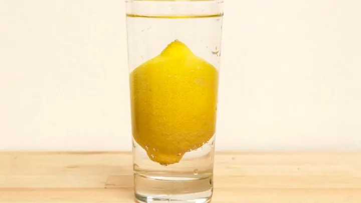 Sie legte einen Zitronenkern in ein Glas Wasser und du glaubst nicht, was passierte!