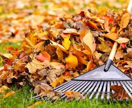 Dieser super Sommer ist bald wieder vorbei. Wie bekommst du deinen Garten herbsttauglich? Befolge diese Tipps.