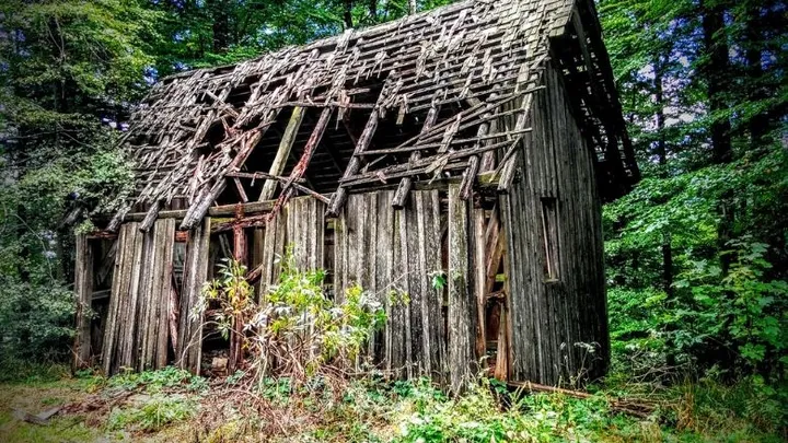 Hombre transforma el cobertizo abandonado en la fantástica cabaña de troncos