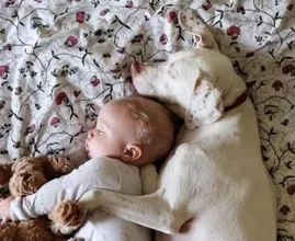 This abused dog is scared of everyone except his baby best friend... This is too cute!