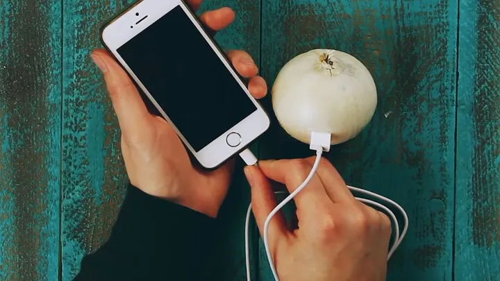 Mit einer Zwiebel das Handy aufladen - es funktioniert wirklich. So geht's!