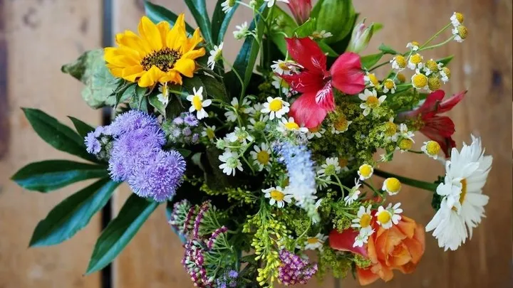 8 tips om je bloemen mooi te houden met warm weer