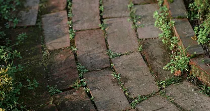 À l’aide, il y a des mauvaises herbes entre les pavés ! Cette simple astuce retira les mauvaises herbes très rapidement !