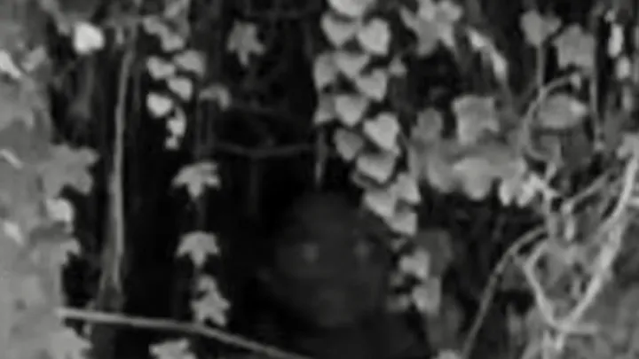 ¿Eres lo suficientemente valiente como para mirar más de cerca? 5 fotos con secretos demasiado espeluznantes