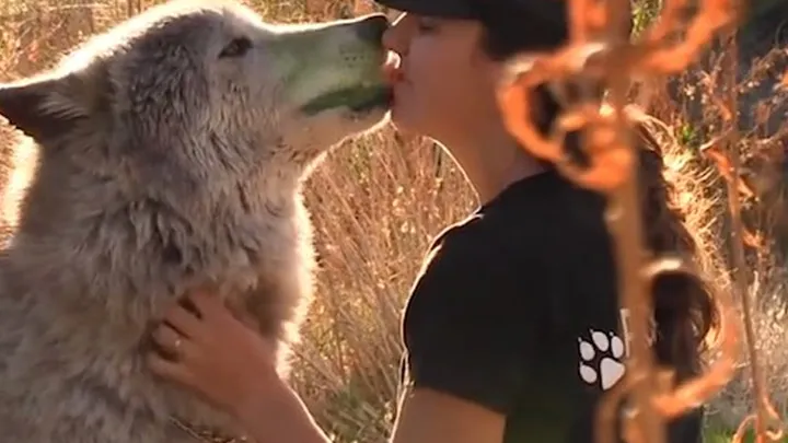 Man takes cute “puppy” home with him, which turns out to be a dangerous mistake