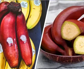 You May Never Have Heard Of These 20 Uncommon Fruits