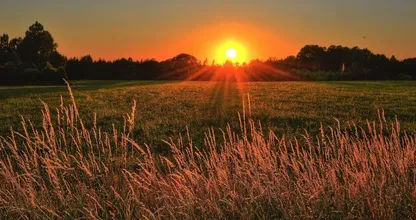 Regen of zon? Dit weer kun je verwachten in september