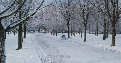 Experts voorspellen: dit weer kunnen we deze winter verwachten