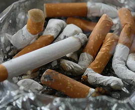 Europese experts: menthol in tabaksproducten moet verboden worden