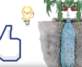 Ella usa botellas de plástico vacías en el jardín. ¡Solo mira estos geniales efectos!