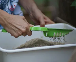 Mit diesem einfachen Trick musst du nie wieder das Katzenklo saubermachen!
