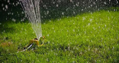 This tip can help you keep your lawn green all throughout the year