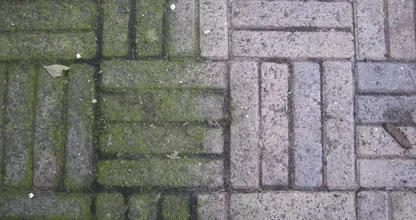 Verhindern, dass Unkraut wächst? Mit diesem Trick dauert es nicht mehr lange! Super praktisch!
