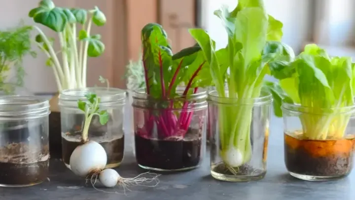 O jardim brilha: Hacks simples de primavera para resultados espetaculares!
