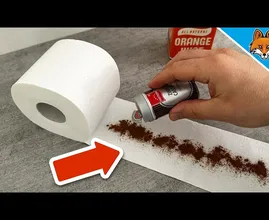 ¡No creerás lo que ocurre cuando añades canela al papel higiénico!