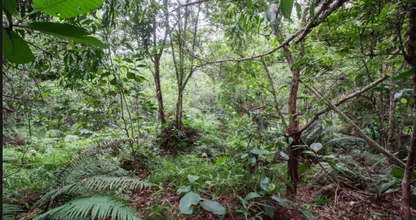 Spot jij de twaalf perfect gecamoufleerde mannen in deze woeste jungle? Deze is pittig, succes!