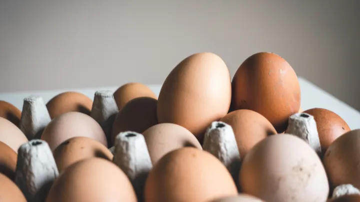 Find out: how do you know if your eggs have gone bad?