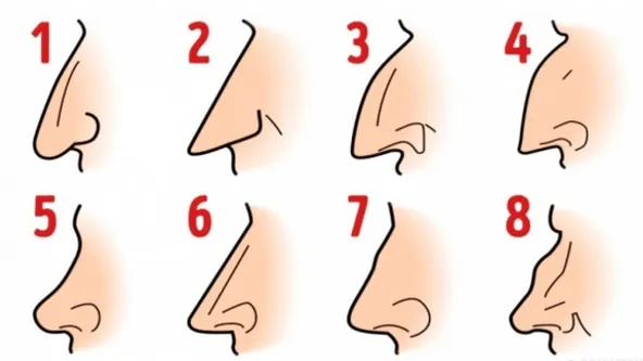 Wat voor type neus heb jij? DIT zegt het over je persoonlijkheid... Grappig om te weten!