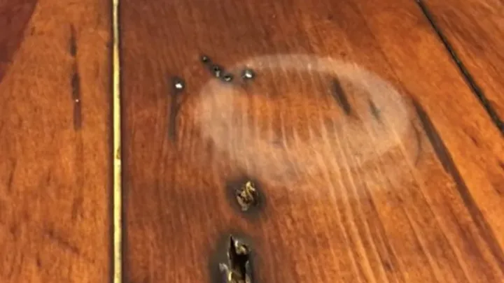 Forgot to use coasters? THIS is how you remove water marks from your wooden table!