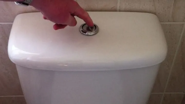 This is why you should flush the toilet as soon as you get home from your holiday!
