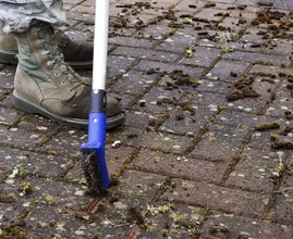 Onkruid tussen de tegels? Met deze tip ben je er zo vanaf