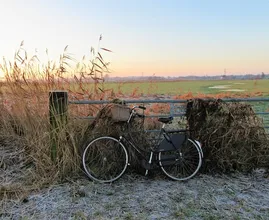 Het weer van deze week: kil, glad en winters