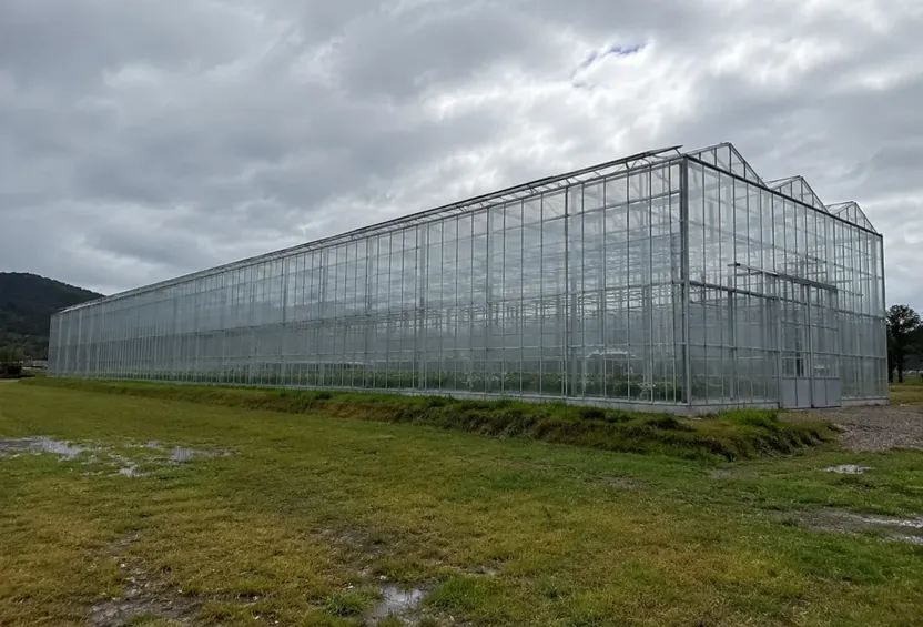 ある園芸家が巨大な温室の中にタイニーハウスを建てました――その内部をぜひご覧ください！