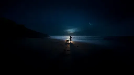 Was geschah mit dem Mädchen, das am Strand einschlief?