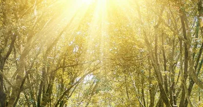 Warmterecord! Het is al sinds 1 april warmer dan 10 graden 