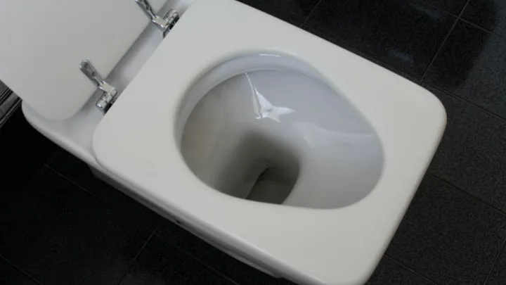 Dit is waarom je altijd de wc-deksel omlaag moet doen voordat je doorspoelt