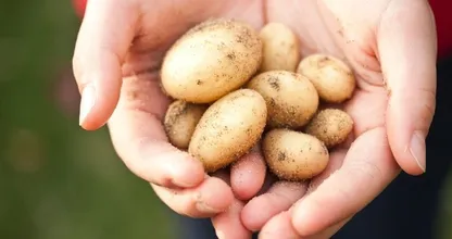 5 things you can clean with potatoes