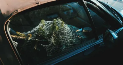 Mag je je kerstboom vervoeren met de achterklep open?