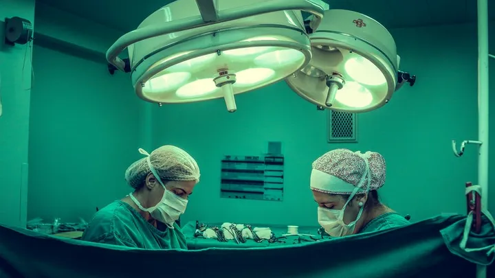 Questo leone è stato avvistato in natura: il veterinario è scioccato quando capisce perché è così enorme
