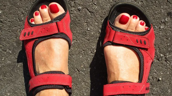 This is why you shouldn't wear the same shoes every day