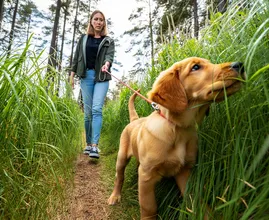 Puppy Disappears Into Tall Grass – What Crawls Out Beside It Leaves Owner Frozen