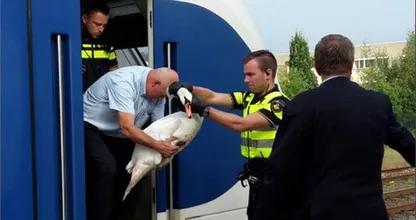 Wat een ongelofelijke held deze machinist...Duim omhoog voor deze dierenvriend!
