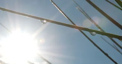 Door de zure appel heen bijten: ‘Vanaf zaterdag zomers weer verwacht’