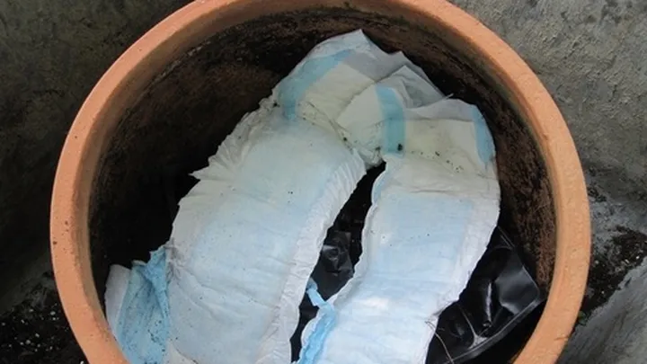 Dol op planten maar geen tijd om ze te verzorgen? Volg dan deze tip!