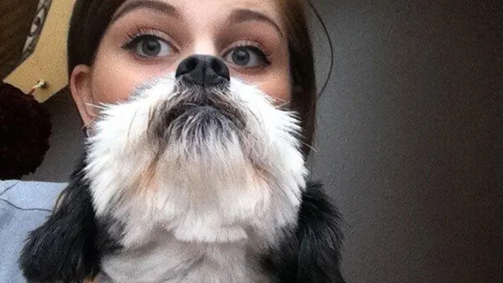 26 fotos cronometradas a la perfección (tendrás que mirar dos veces para descifrarlas)
