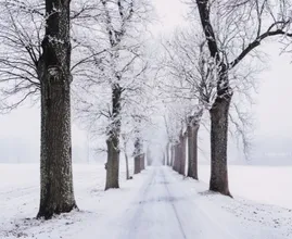 Winterweer op komst: volgende week kans op een laagje sneeuw