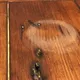 Forgot to use coasters? THIS is how you remove water marks from your wooden table!