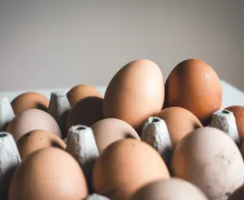 Find out: how do you know if your eggs have gone bad?